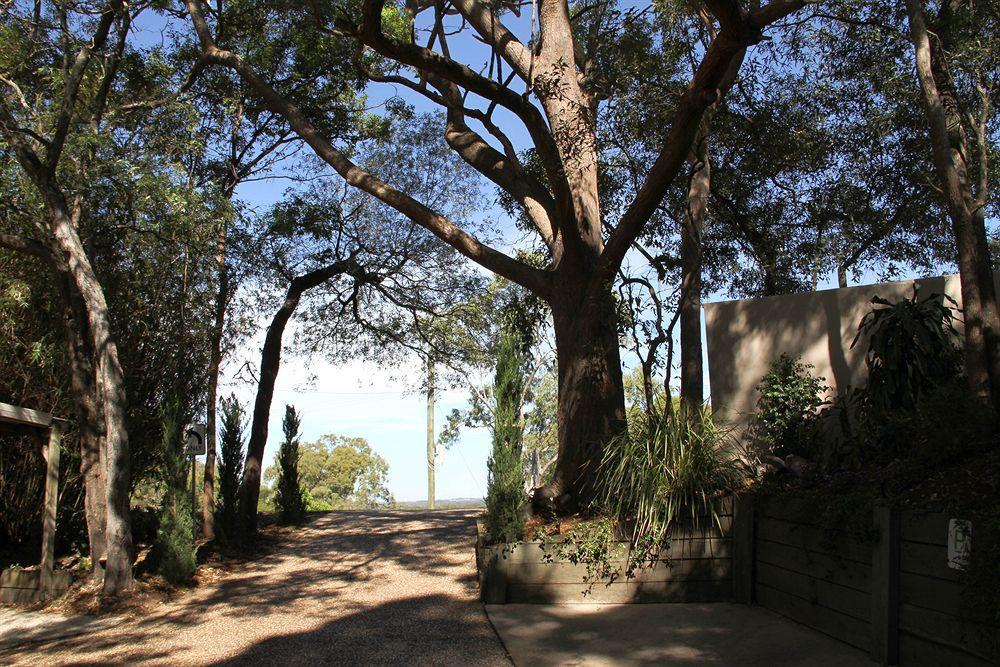 Arabella Guesthouse Alexandra Headland Luaran gambar
