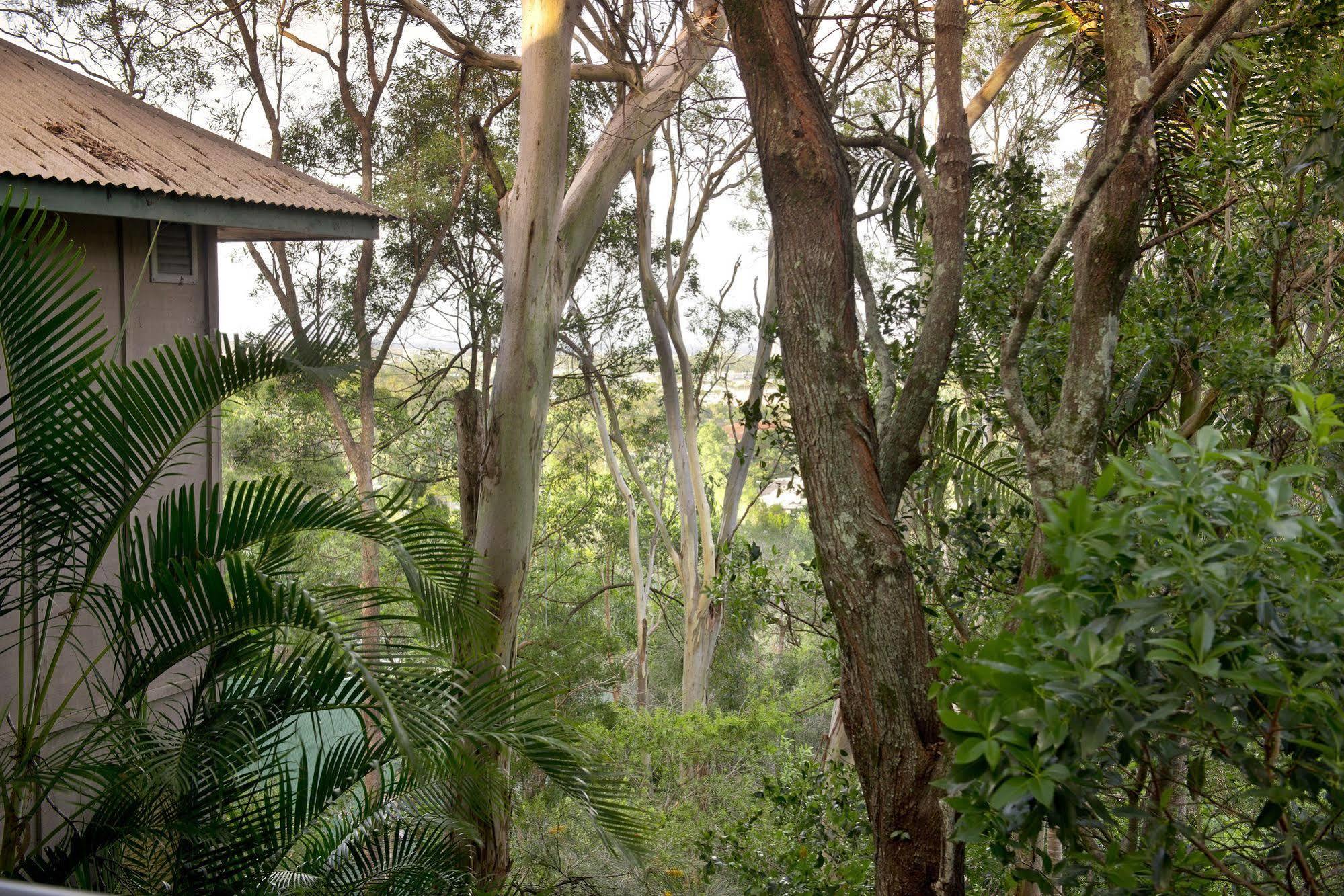 Arabella Guesthouse Alexandra Headland Luaran gambar